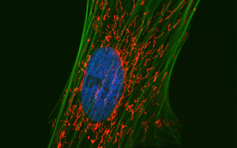 Life-Science-img
