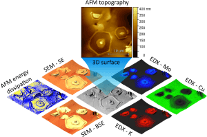 imagescience-litescope25-complex-correlative