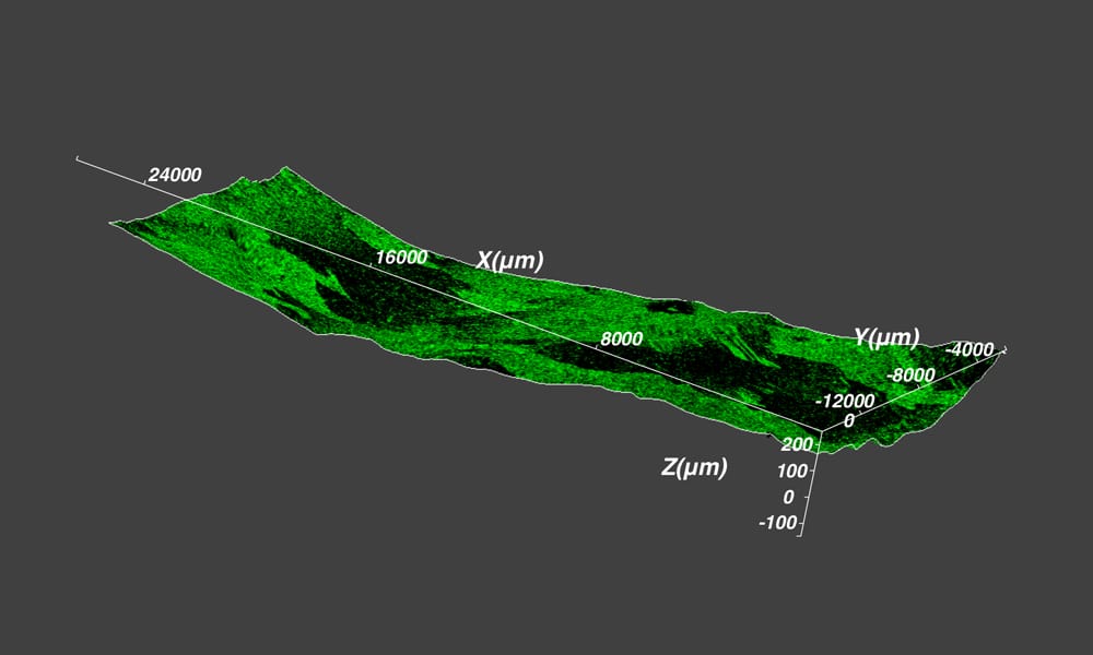 imagescience-raman-8