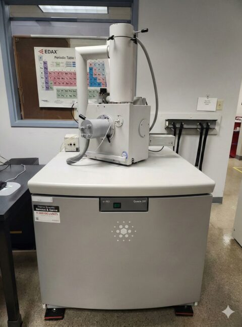 imagescience-blog-2ndhand-fei-quanta-200-4